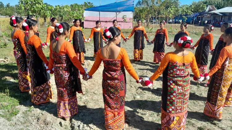 women folk dance women folk dance
